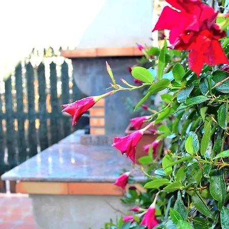 Bungalow En Camping De * لا مانغا ذيل مار مينور