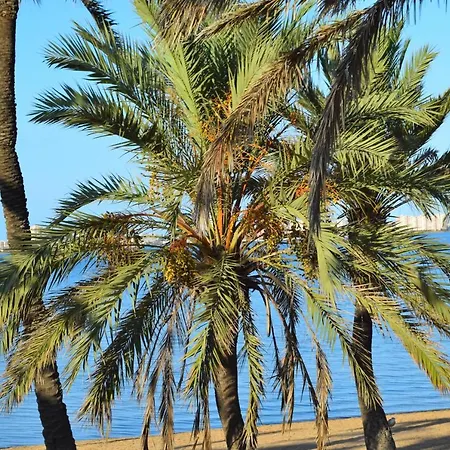 Bungalow En Camping De *