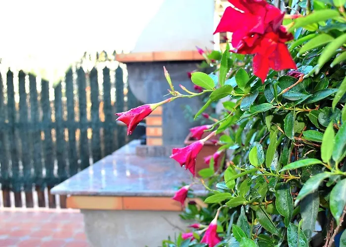 Bungalow En Camping De * La Manga del Mar Menor